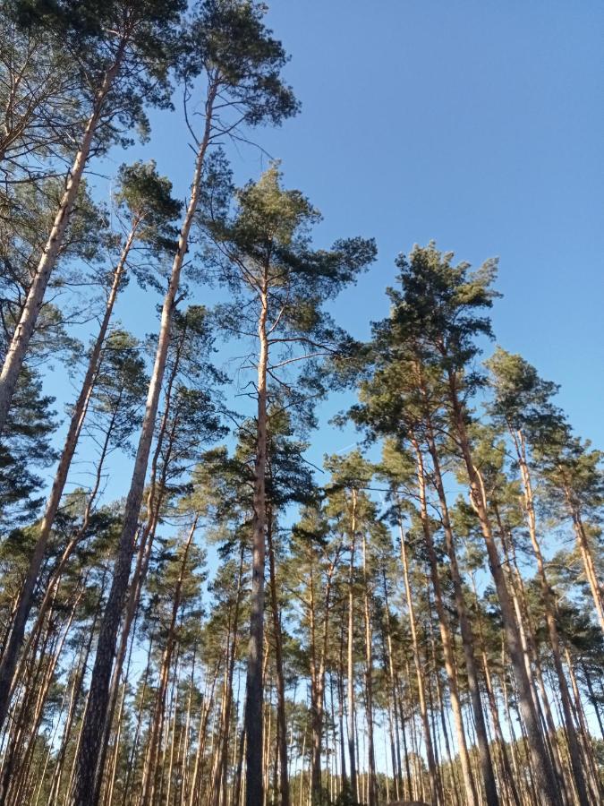 Ferienzimmer Waldzauber Borkwalde Buitenkant foto