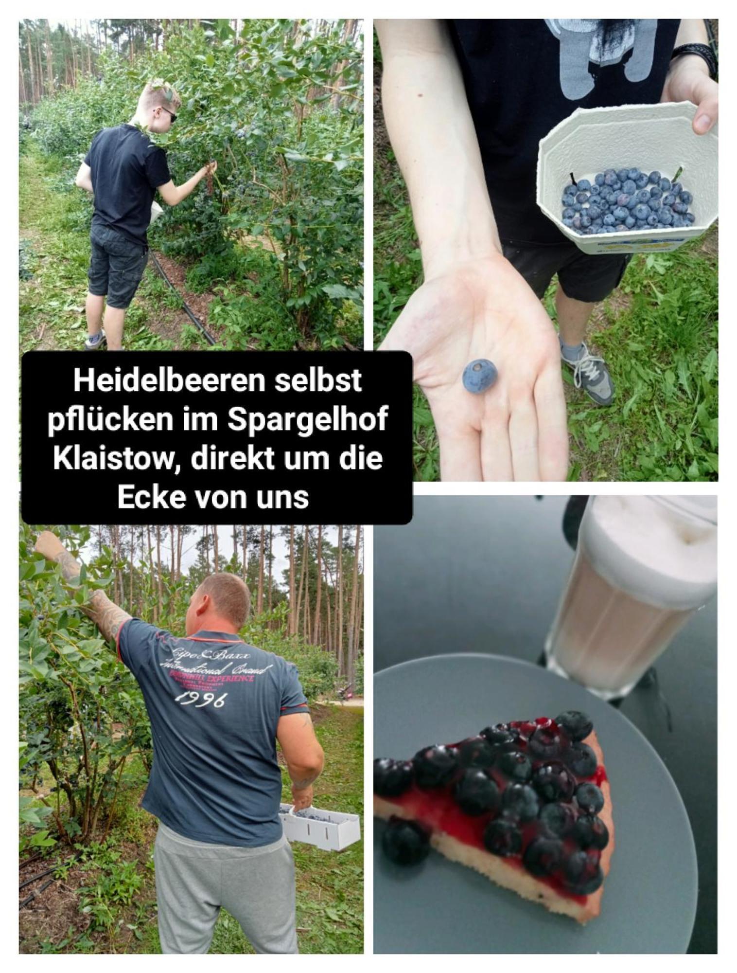 Ferienzimmer Waldzauber Borkwalde Buitenkant foto